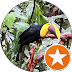 polismata review
